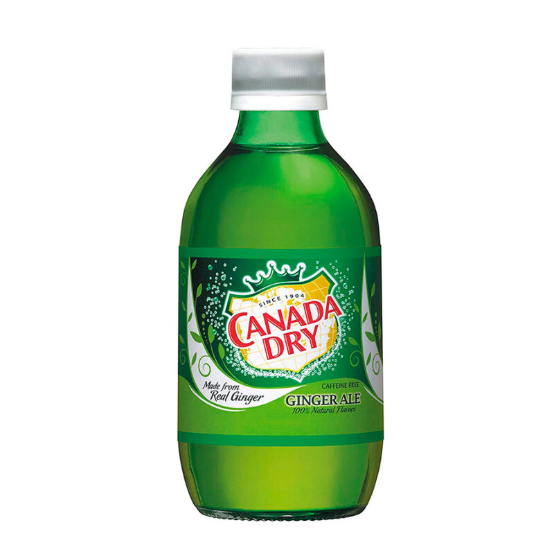 Canada Dry Ginger Ale Plastic - 10 Oz.  4 x 6